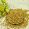 2012 nueva cosecha, elige bien el mijo de maíz de la escoba blanca Natural Grown para el pájaro